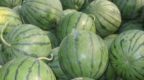 吃瓜星娱乐为什么说人类要吃盐